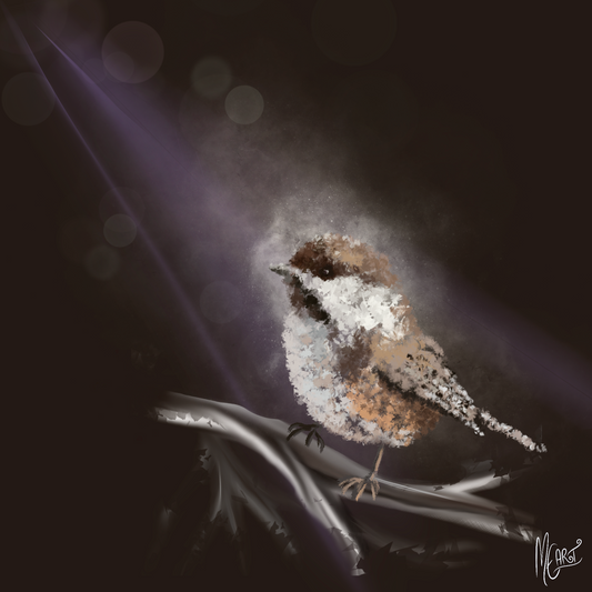 Selviytyjä - kortti